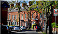 Deramore Avenue, Belfast (2)