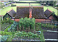 Vegetable garden