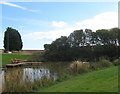 Pond at Thorpe Bulmer Farm