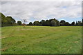 Ilketshall St Margaret Village Green