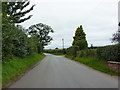 Road near Primrose Cottage, Barthomley