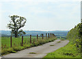 2010 : Track to Witham Hall Farm