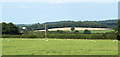 2010 : More sheep near East Forest Farm