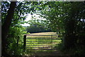 Gate by the footpath to Bunch Lane