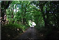 Footpath to Bunch Lane