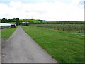 Looking NE along track and footpath from Woolton Farm