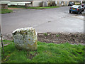 Berwick St James small Standing Stone