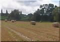 Cae haidd ar ol cynhaeafu / A barley field after the harvest