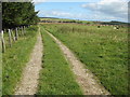 SO1486 : The Kerry Ridgeway near the Radnor Gate by Philip Halling