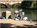 SP2054 : Swan ringing, River Avon, Stratford-Upon-Avon by David P Howard
