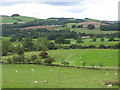 The valley of the River South Tyne around Woodshield Farm