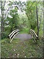 NS2309 : Path on the disused railway, Culzean Country Park by Humphrey Bolton