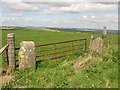 Stone gateposts