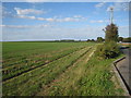 Field off Woodchurch Road