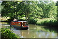 SU9948 : Narrowboat on the River Wey by N Chadwick