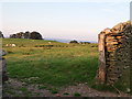 End of dry stone wall in the  hills above Nelson