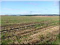 Farmland near Tillyfar