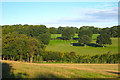 Fields and Trees