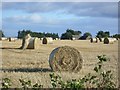 Farmland near Plaidy