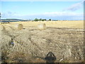 Farmland near Wood of Luncarty