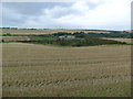 Farmland near North Hollymill Farm