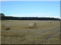 Farmland looking towards the Wood of Balchers