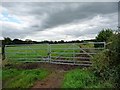 Big gates into a big field