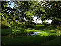 Pond near The Hatch