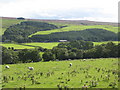 Farmland north of Woodhall