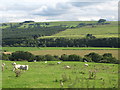 Farmland east of Woodhall