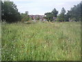 The Old Yachting Pond on Tooting Graveney Common