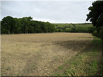 TR1537 : Field beside Stone Farm by Chris Heaton