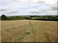 View from footpath to Oxhill