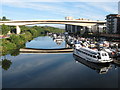 River Ely, Cardiff