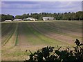 Buildings at Forest of Bere Farm