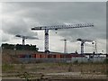 Cranes over Stourton