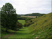 TR1739 : Dry Valley above Coombe Wood by Chris Heaton