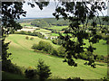 View to Lea Bailey Inclosure