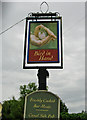 Bird in Hand (3) - pub sign, 5 Holly Road