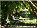 Graves in Sparsholt