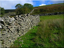 SD8492 : Dry stone wall below Little Fell by John H Darch