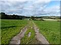 SO4589 : The bridleway north from Acton Scott by Richard Law