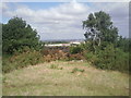 View from Winns Common