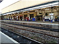 Exeter St David