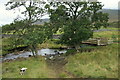 Ford across a burn by Clebrig farm