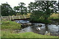 The bridge and ford across the Klibreck Burn