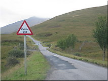 NM6231 : Cattlegrid in the A849 in Glen More by Sarah Charlesworth