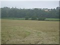 Farmland near Burnend