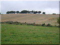 Farmland near Brokenfolds