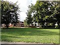 Houses in a tree-lined road